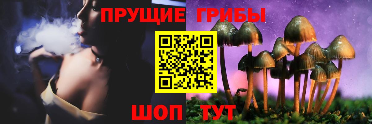 Псилоцибиновые грибы Cubensis  Вход с VPN  Александров 
